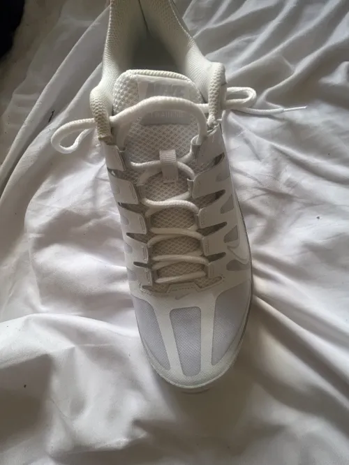 Reax White