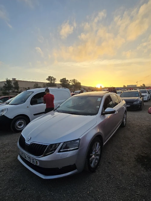 Skoda Octavia 2019 Clever