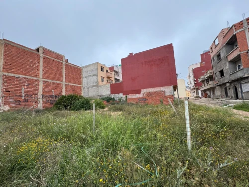 Vente Terrain Tlemcen Marsa ben mhidi