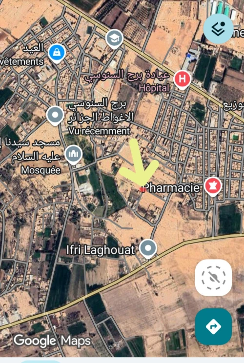 Vente Terrain Laghouat Laghouat