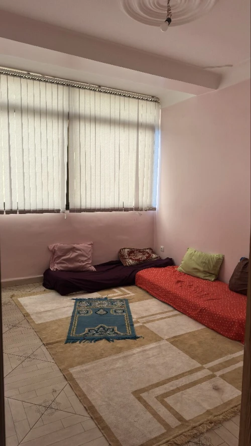 Location Appartement F3 Alger Zeralda