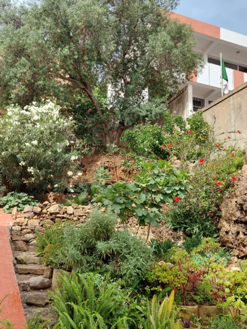 Vente Villa Alger Belouizdad