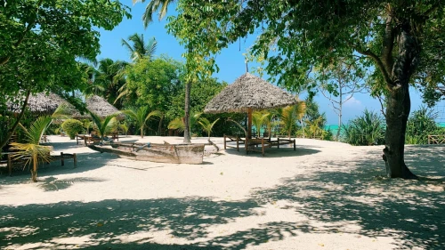 Évasion à Zanzibar
