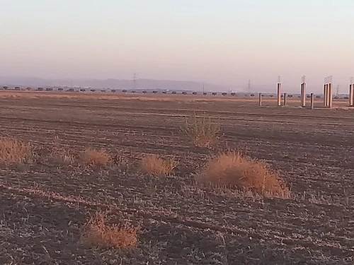 Vente Terrain Agricole Sidi Bel Abbès Sidi khaled