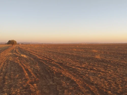 Vente Terrain Agricole Sidi Bel Abbès Sidi khaled