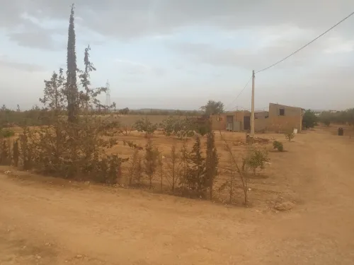 Vente Terrain Agricole Sidi Bel Abbès Sidi khaled