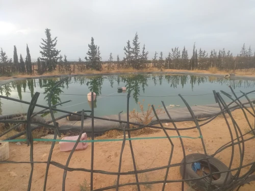 Vente Terrain Agricole Sidi Bel Abbès Sidi khaled