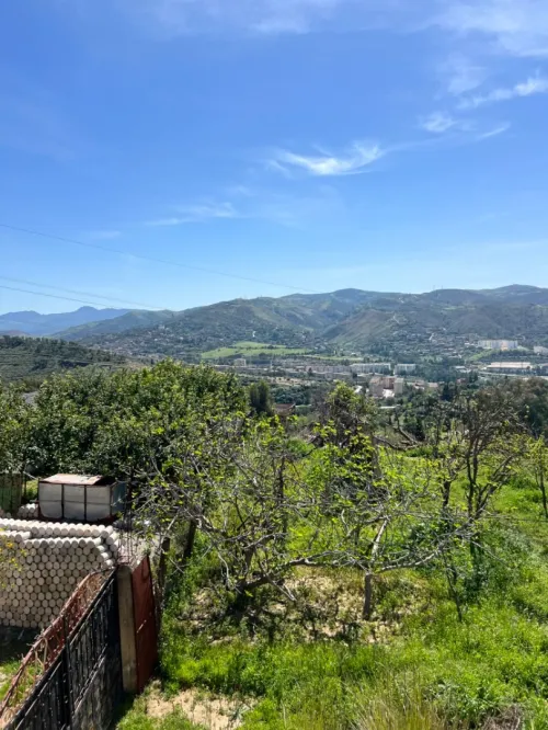 Vente Terrain Boumerdès Thenia