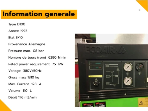 Comprisseur a air ECOAIR D100