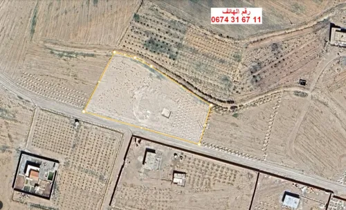 Vente Terrain Agricole Djelfa Djelfa