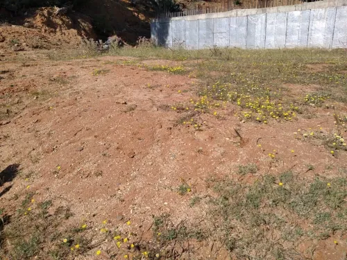 Vente Terrain Boumerdès Zemmouri