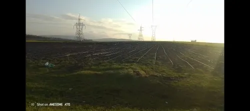 Vente Terrain Agricole Annaba Ain berda