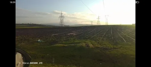 Vente Terrain Agricole Annaba Ain berda