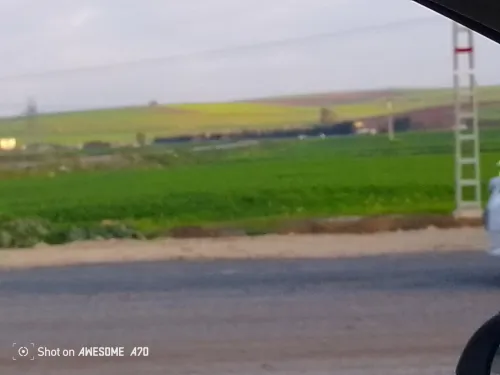 Vente Terrain Agricole Annaba Ain berda