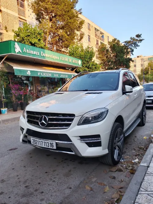 Mercedes ML 2013 250 CDI Pack AMG