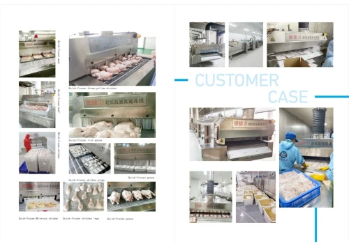 TUNNELS DE SURGELATION + BLAST FREEZING TECHNOLOGY+ SYSTEME DE DECONGELATION