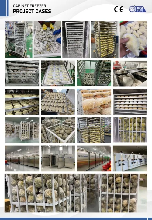 TUNNELS DE SURGELATION + BLAST FREEZING TECHNOLOGY+ SYSTEME DE DECONGELATION