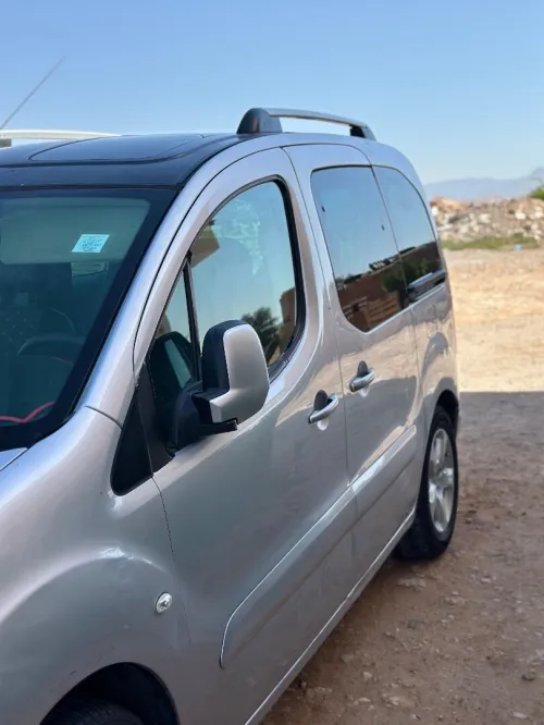 Peugeot Partner 2010 Tepee
