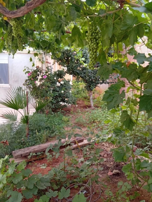 Vente Villa Alger Saoula