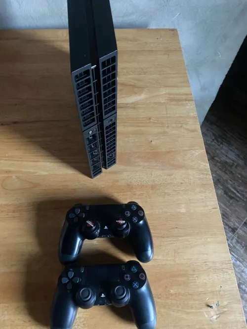 PS4 fat