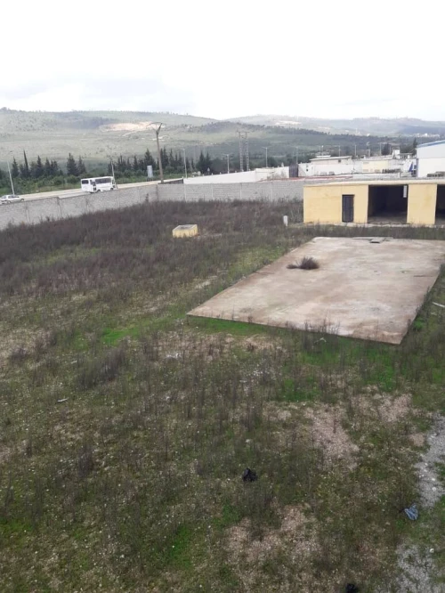 Vente Terrain El Tarf El taref