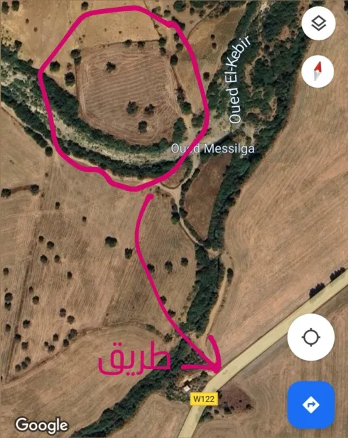 Vente Terrain Agricole Guelma Roknia