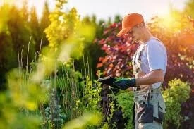 SERVICE NETTOYAGE JARDINAGE LUSTRAGE PROFESSIONNEL