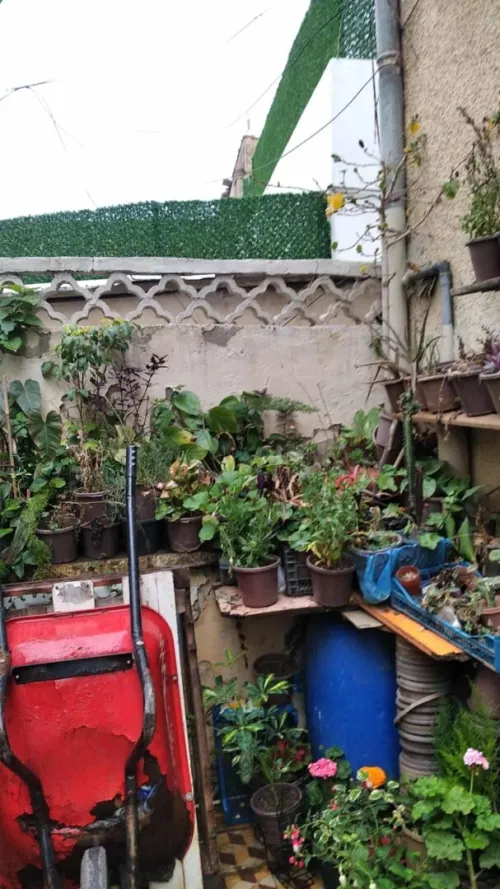 Vente Appartement F3 Alger Alger centre