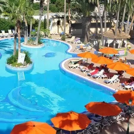 Voyage organise Hammamet par bus 7jours en demi pension deux hotel aux choix a partire de 44990 dzd 