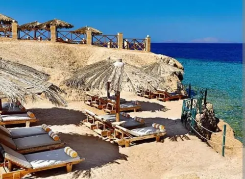 Voyage organisé sharm el Sheikh 08 jours 07 nuits hôtels 5etoile en All Inclusive à 221000 da 