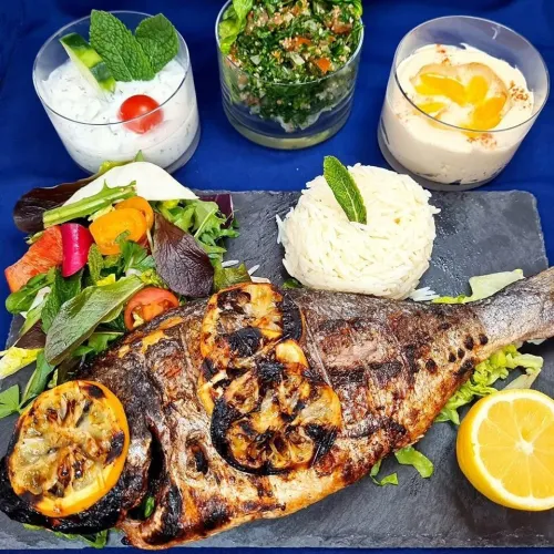 Voyage organisé Tunisie Hammamet par bus 07 jours/06 nuits hotel 03 etoile à partir de44990 dzd 
