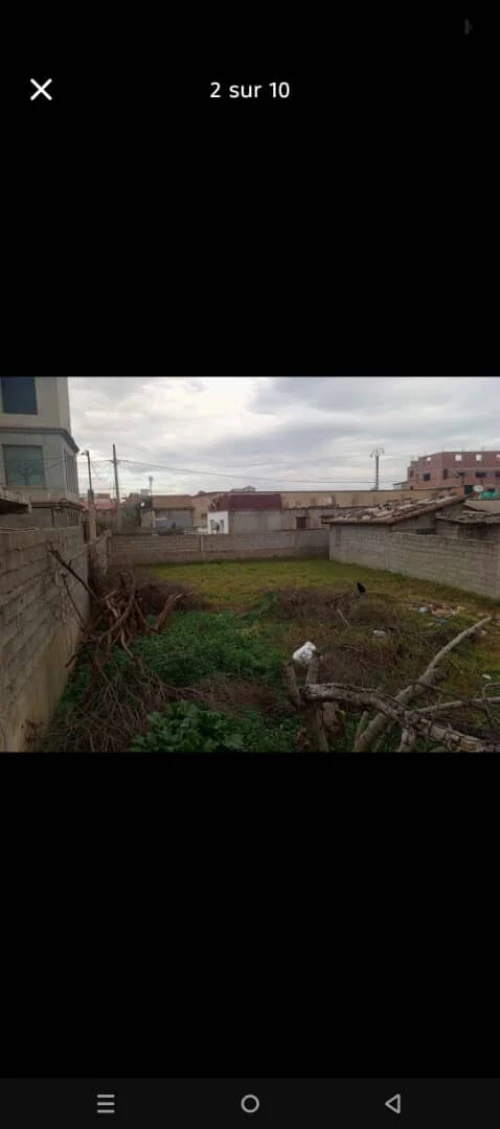 Vente Terrain Alger Rouiba