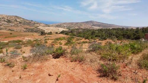 Vente Terrain Aïn Témouchent Oulhaca el gheraba