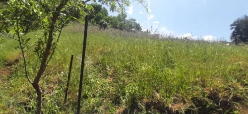 Vente Terrain Médéa Tablat