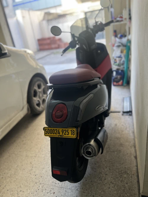 Vms Gemma 2025