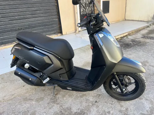 Vms Gemma 2025
