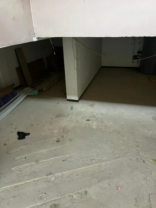 Location Appartement F4 Alger Dely brahim