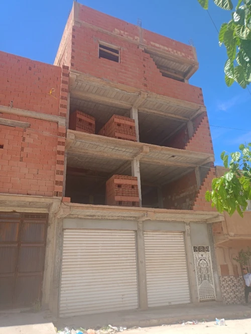 Vente bien immobilier Laghouat Aflou
