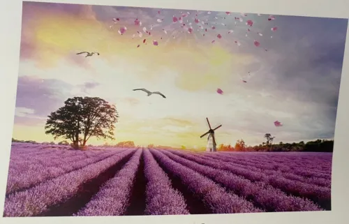 Habillage  papier peint panoramique impression UV grand format backlight UV intérieur et extérieur 