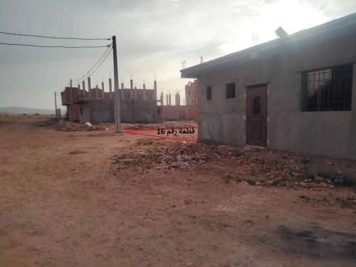 Vente Terrain Sidi Bel Abbès Oued sefioun