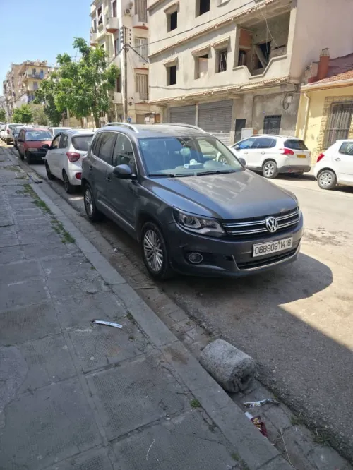 Volkswagen Tiguan 2014 CUP