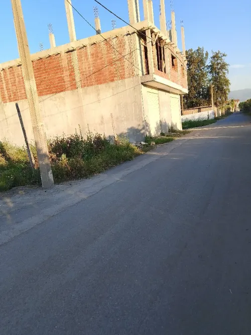 Vente Terrain Blida Ouled el alleug