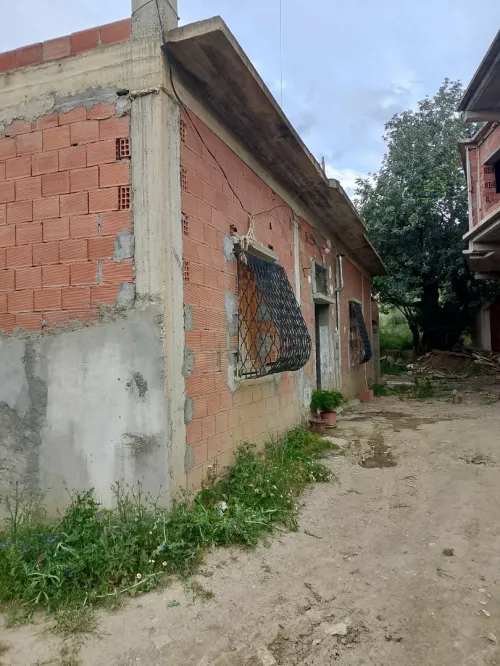Vente Villa Blida Bouarfa