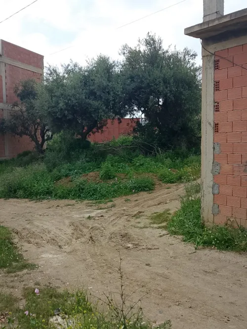 Vente Villa Blida Bouarfa
