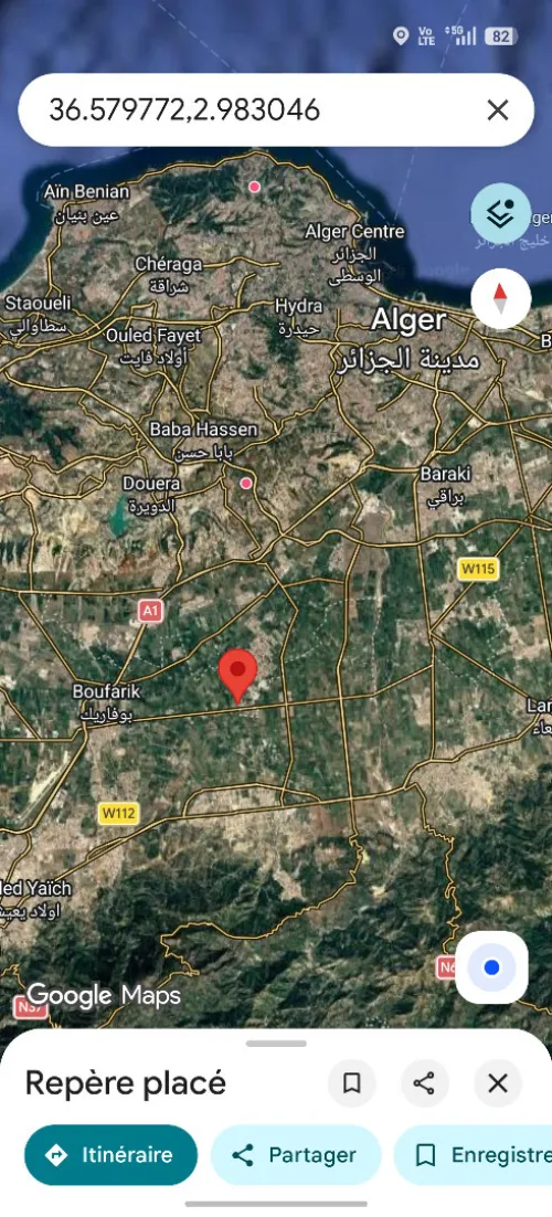 Vente Terrain Blida Chebli 10