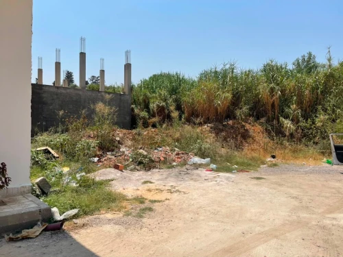 Vente Terrain Blida Chebli 8