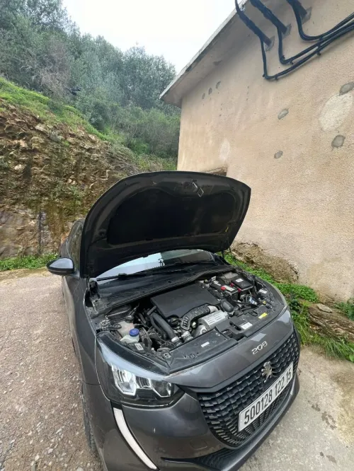Peugeot 208 2022 Allure