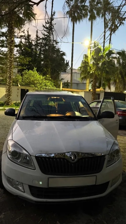 Skoda Fabia 2014 Fresh