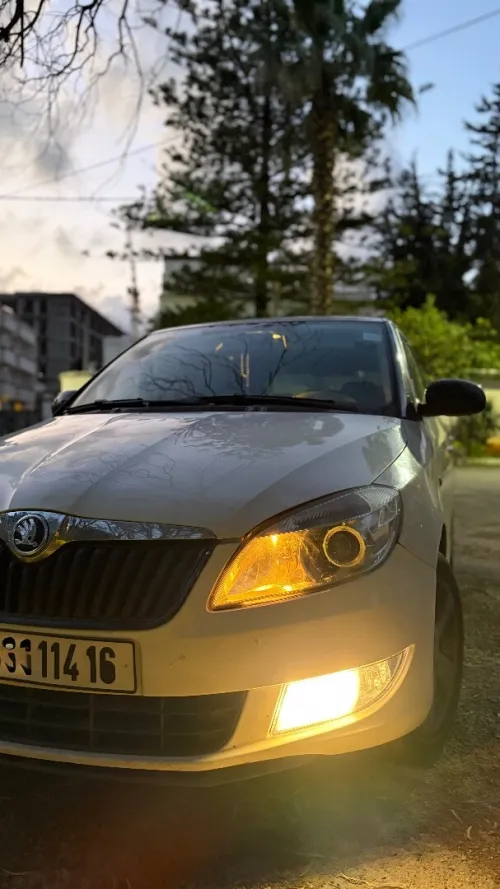 Skoda Fabia 2014 Fresh