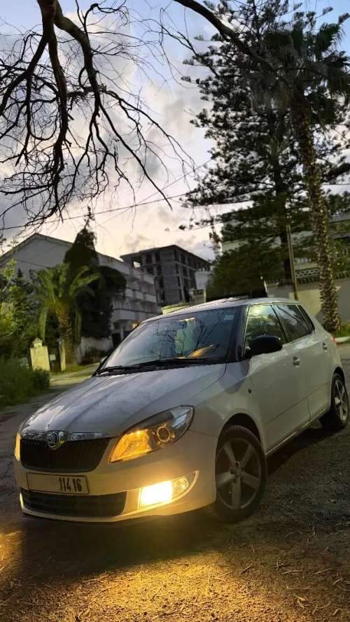 Skoda Fabia 2014 Fresh
